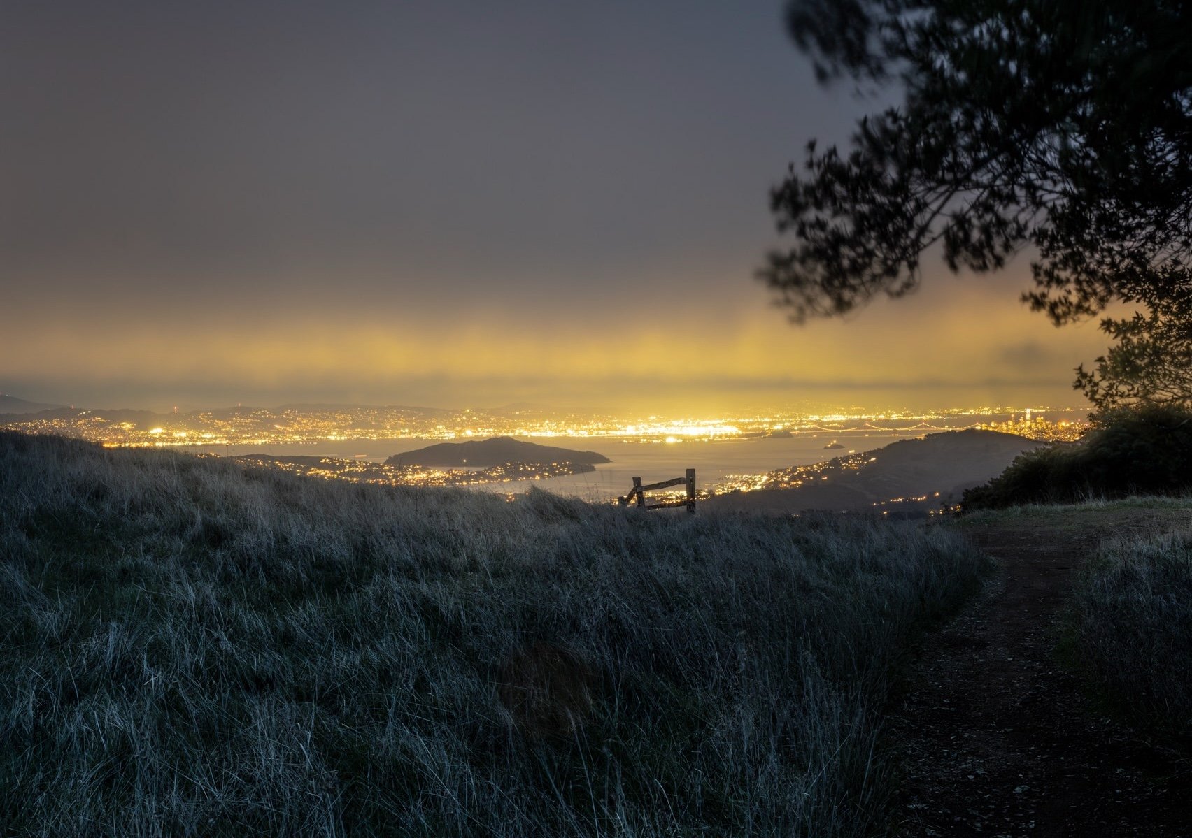 New Yorker short stories