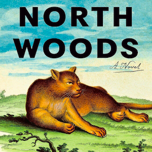 North Woods Daniel Mason